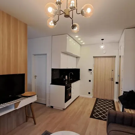 Vilnius Apartment *