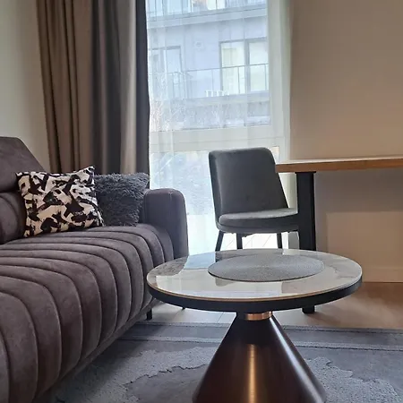 Vilnius Apartment *